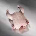 Pollo Entero